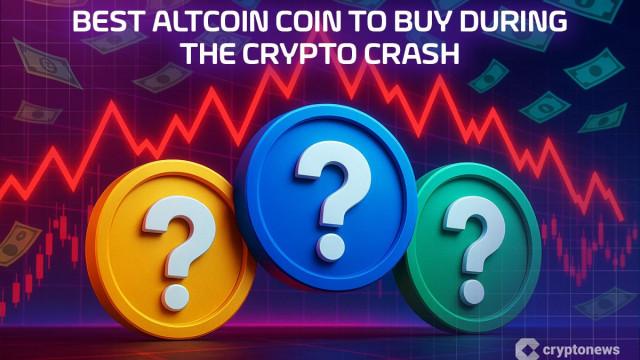 Best Altcoin Coin to Buy During the Crypto Crash – 24 November